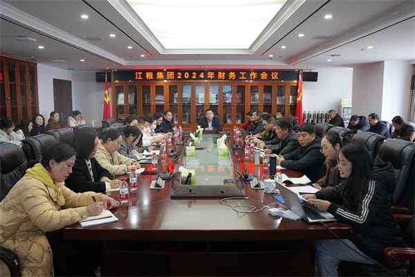 江糧集團(tuán)召開2024年財務(wù)審計工作會議